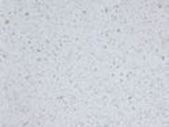 漳州人造石 天發(fā)石材提供的人造石怎么樣,漳州人造石 天發(fā)石材提供的人造石怎么樣生產(chǎn)廠家,漳州人造石 天發(fā)石材提供的人造石怎么樣價(jià)格